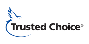 Partner-Grid-Trusted-Choice